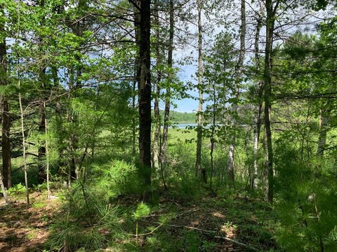 Land, Tomahawk, WI