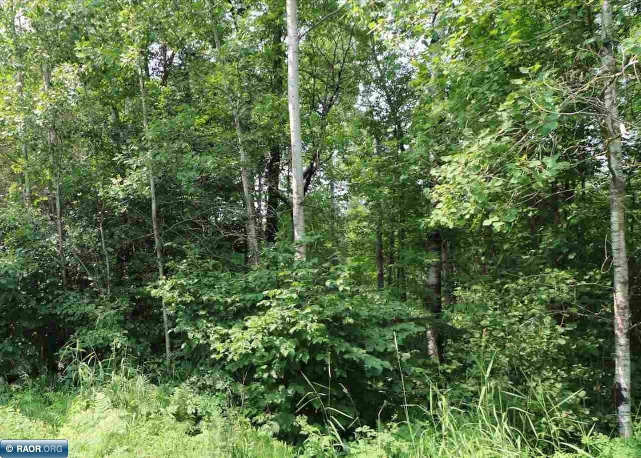 Aurora, MN Hunting Land