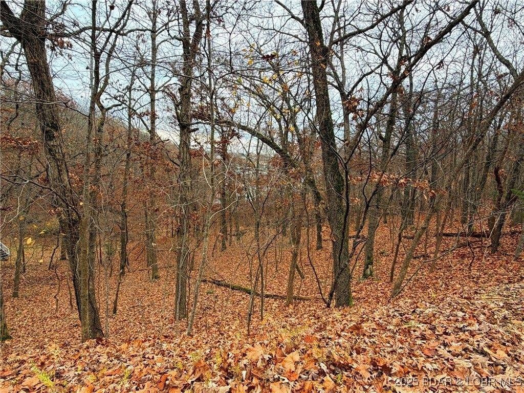 Picture 6