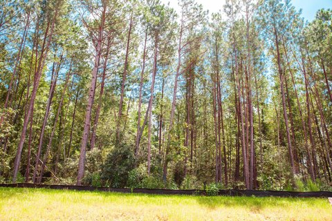 Clarks Hill Estate-Sized Lot