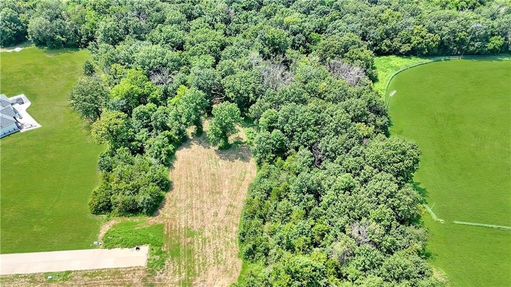 Picture 23