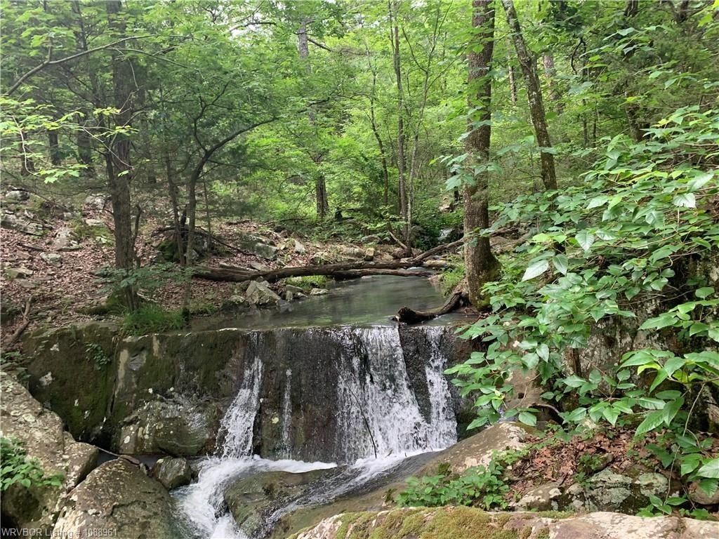 Picture 8