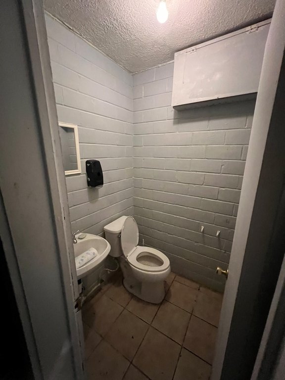 Picture 19