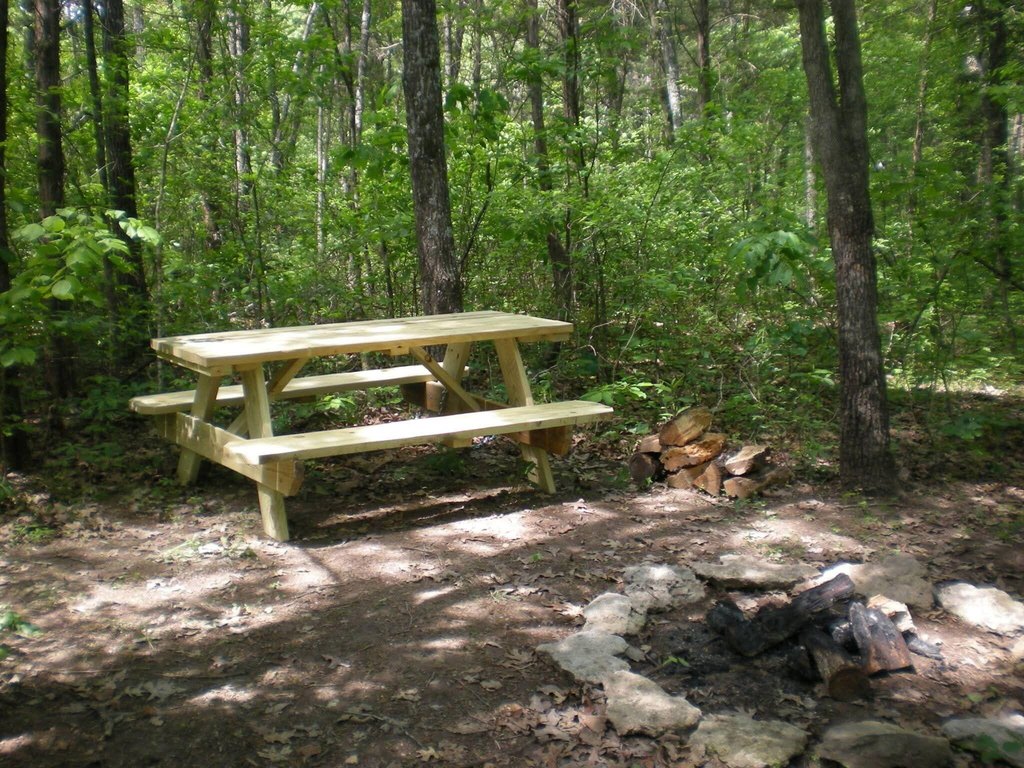Picture 2