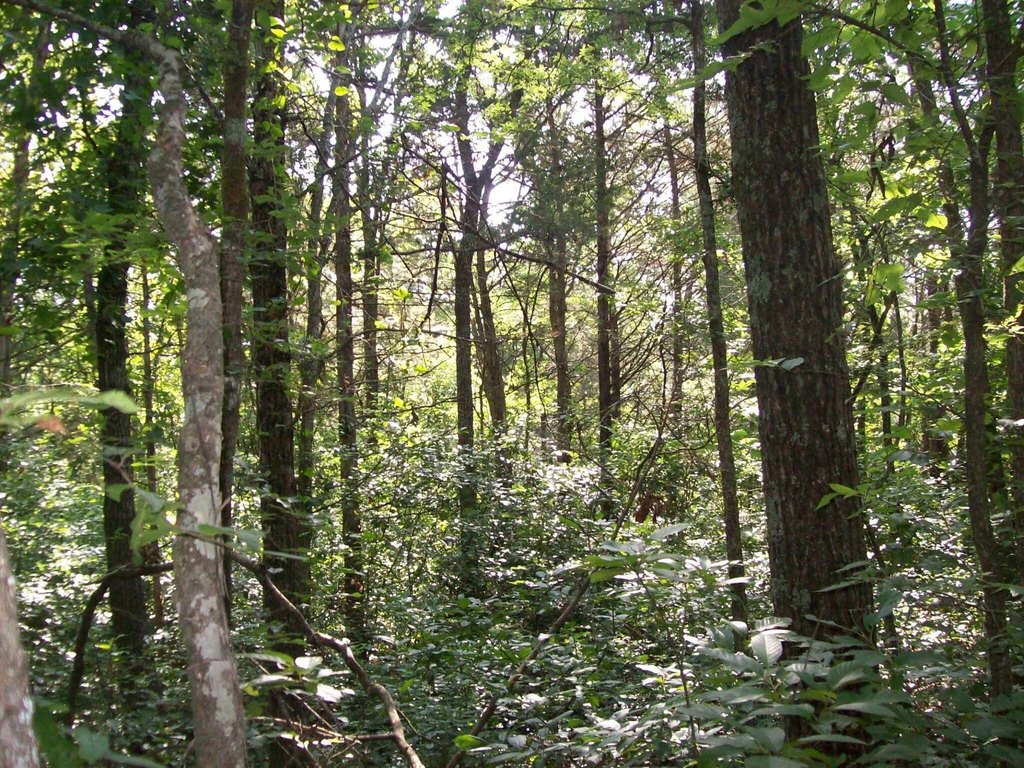 Picture 6