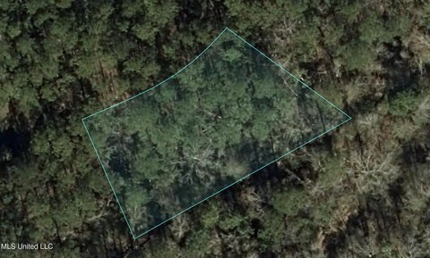 Diamondhead Land For Residential Development