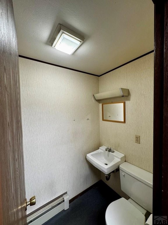 Picture 19
