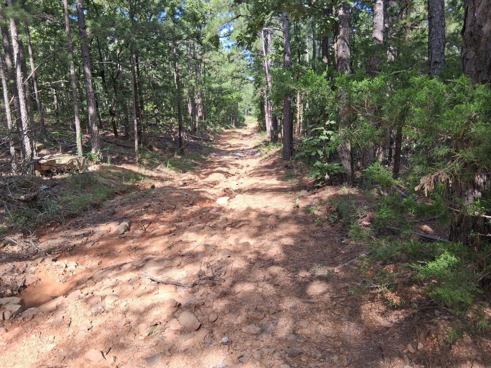 5 Acres Wooded Land