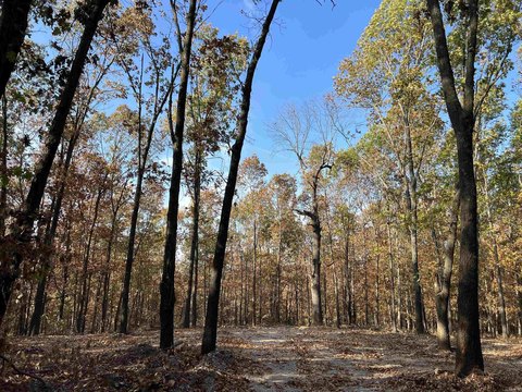 Omaha, AR Land For Sale