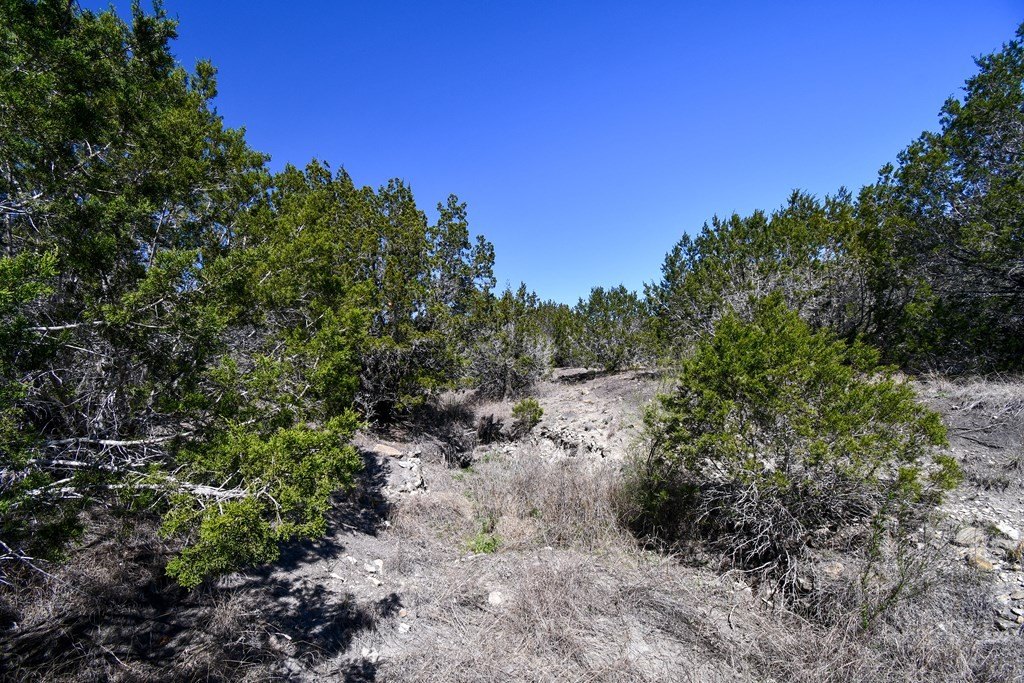 Picture 9