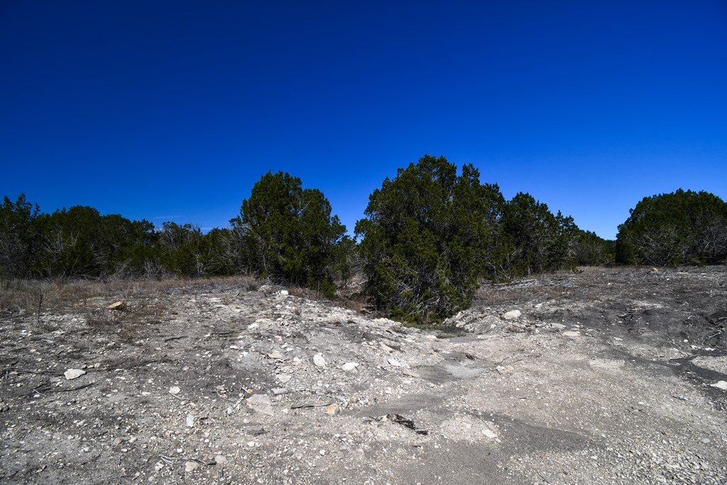 Picture 8
