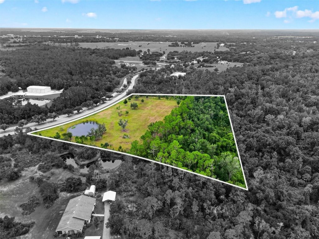 Picture 19