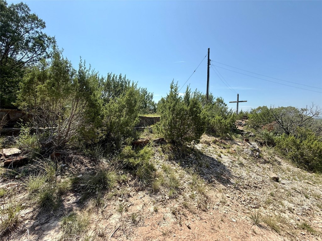 Picture 29