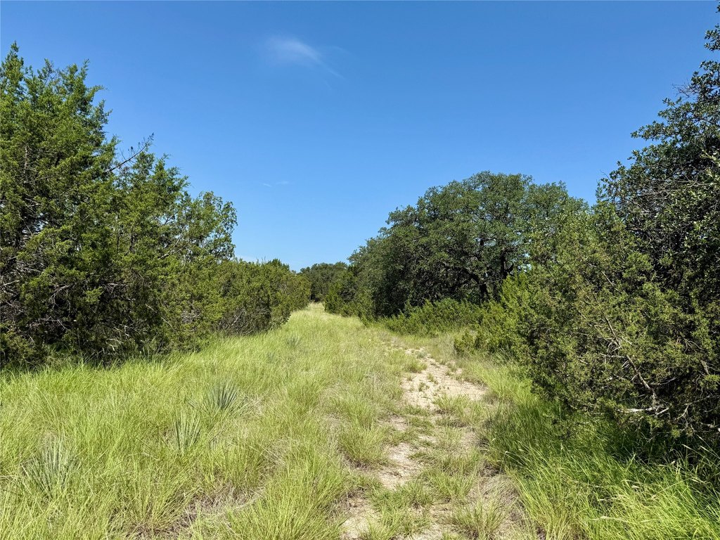 Picture 19