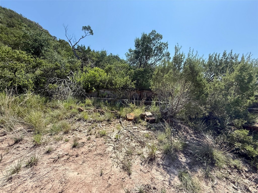 Picture 28