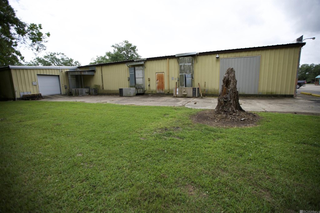 Picture 15