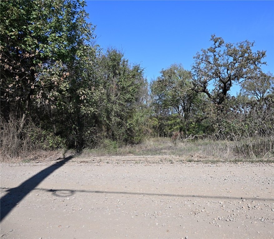 Picture 3