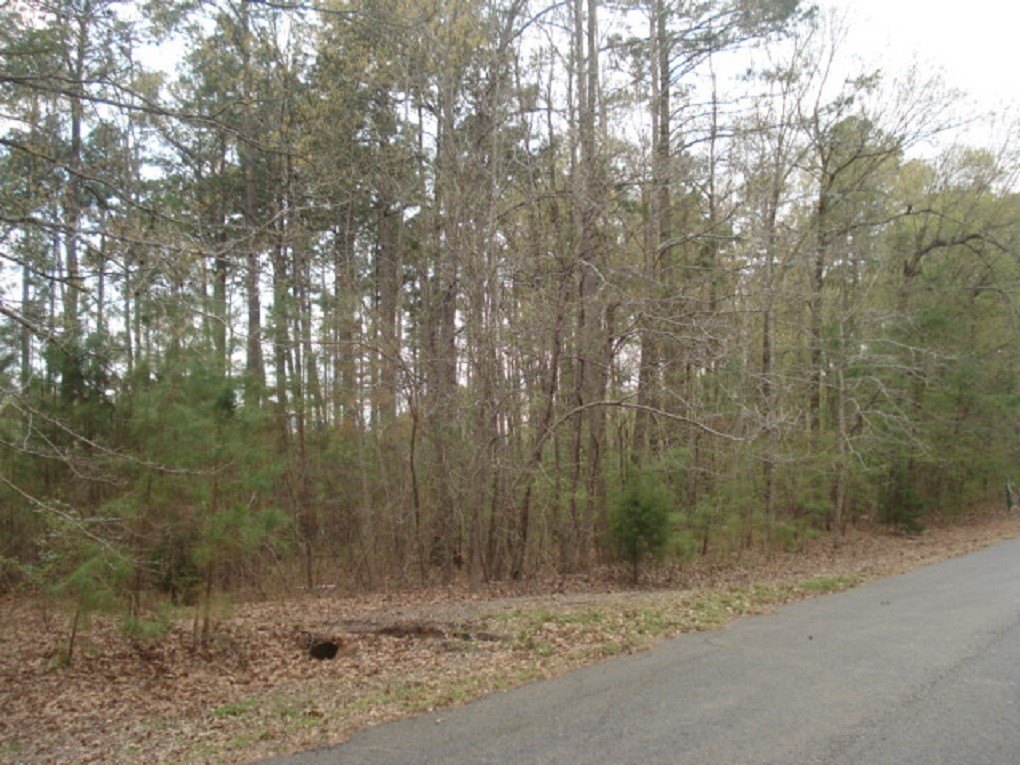 Picture 2