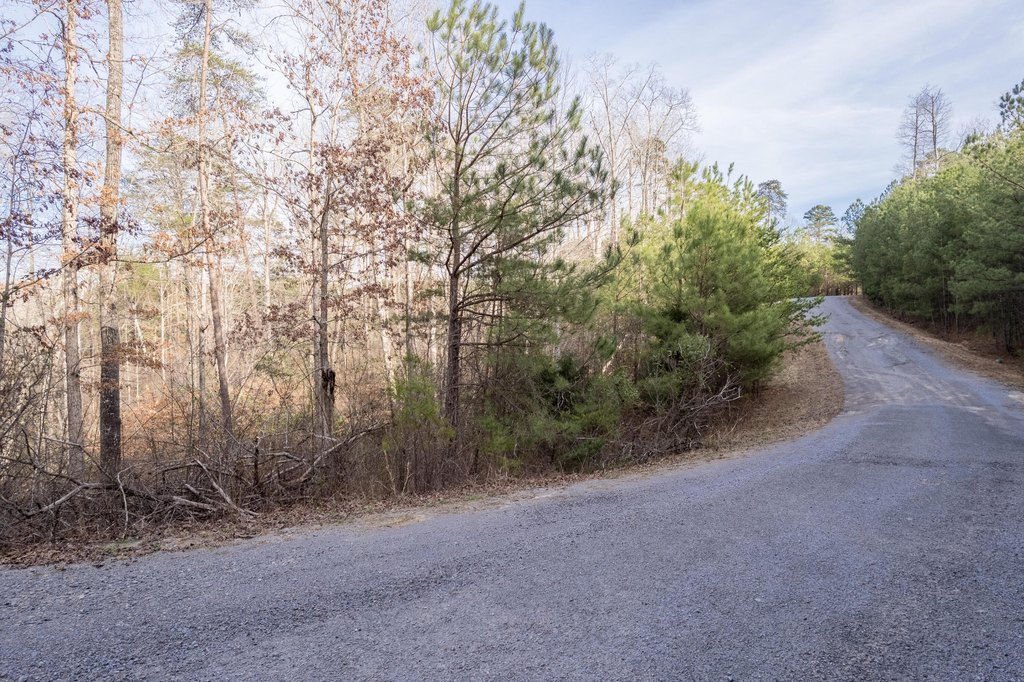Picture 22