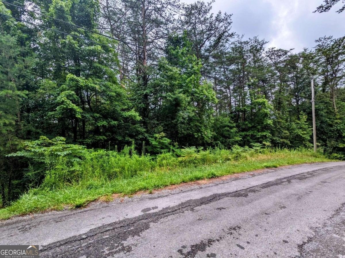 Turtletown Land Near Mountain Lake