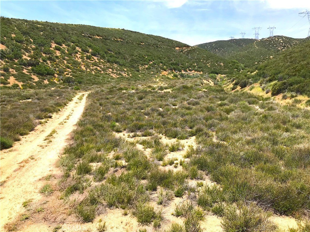 Picture 19