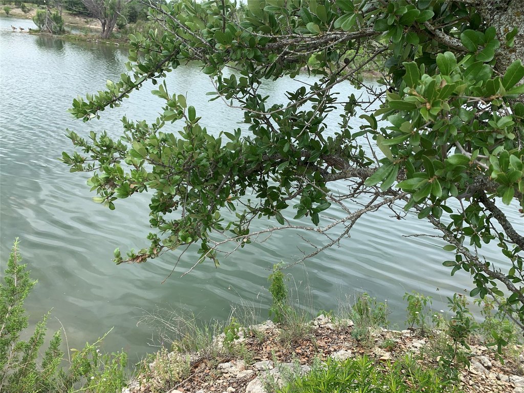 Picture 3
