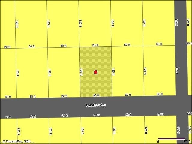 Picture 5