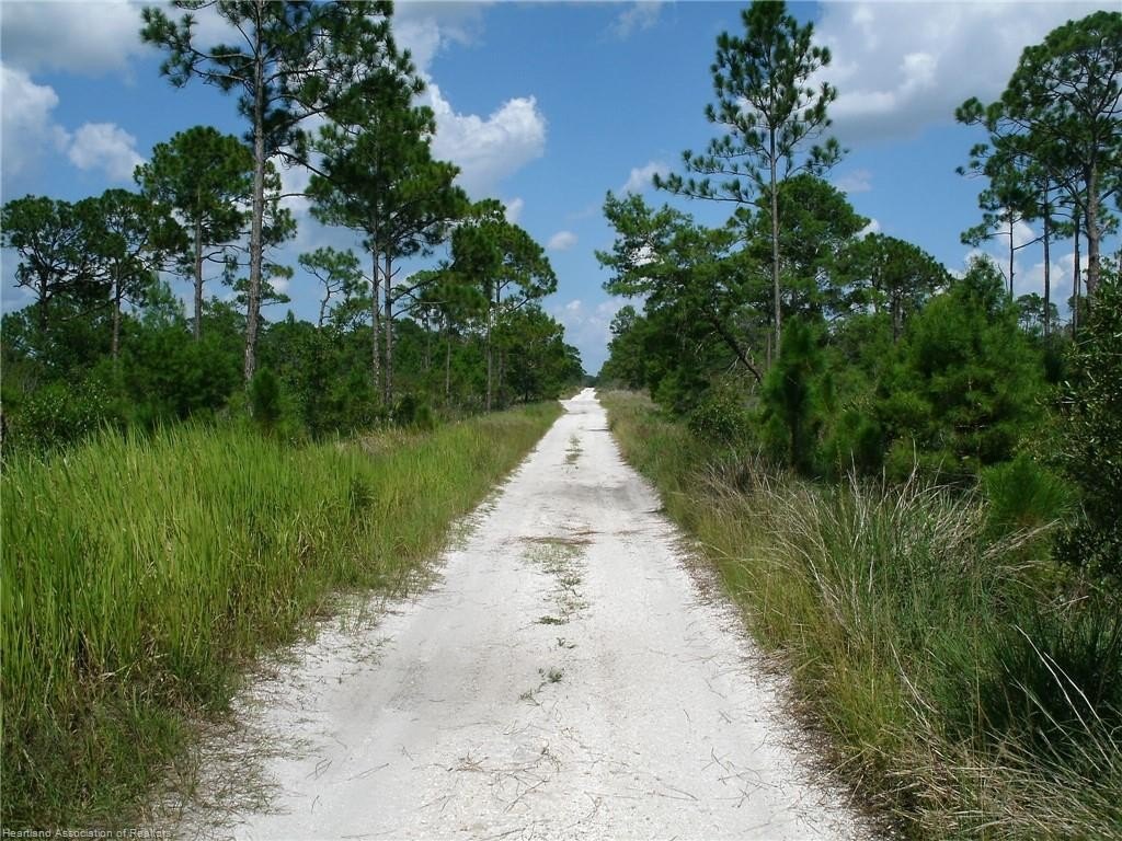 Picture 4