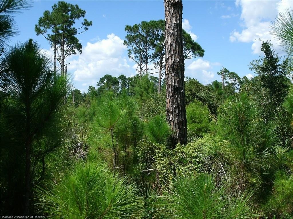 Picture 8