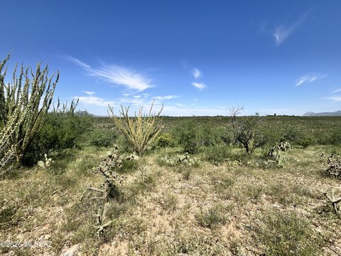 Land, Rio Rico, AZ