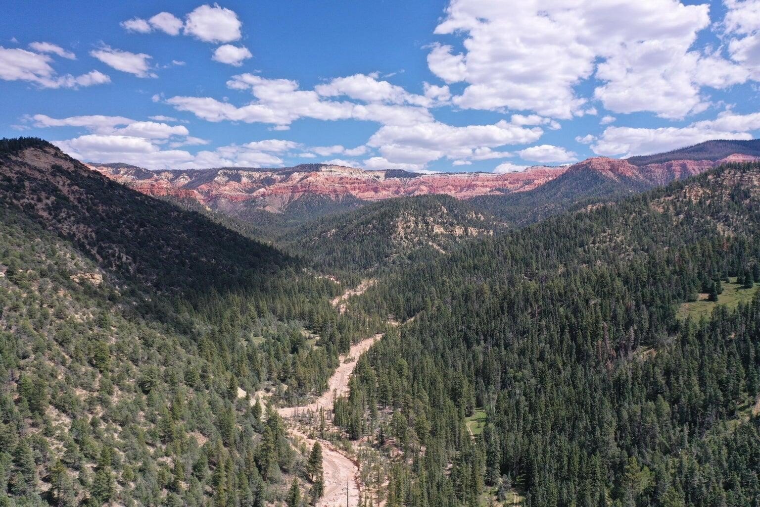Secluded Land Near Cedar Breaks