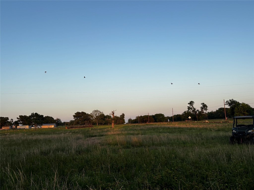 Picture 15
