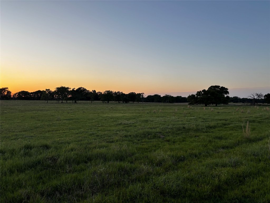 Picture 16
