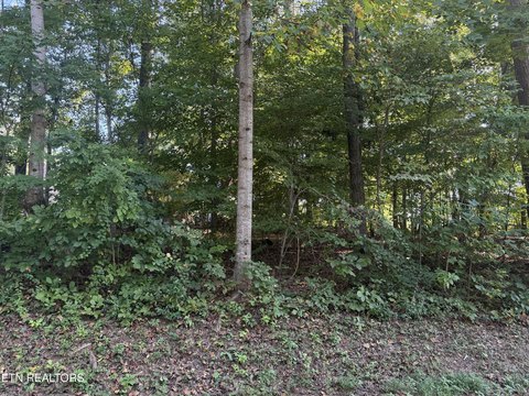 Lots & Acreage, Loudon, TN