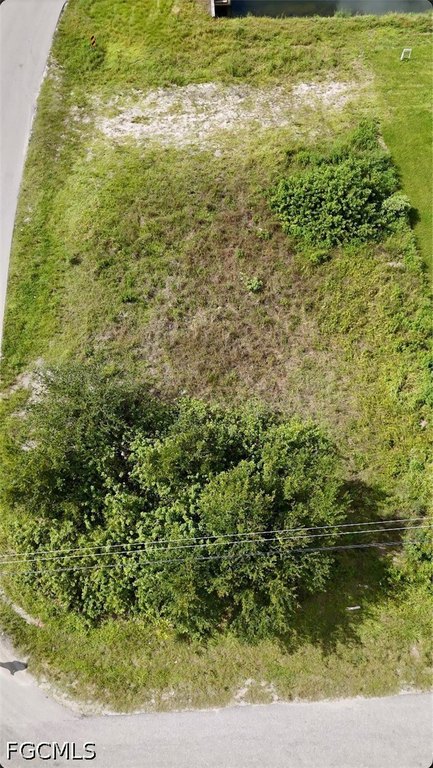 Picture 3