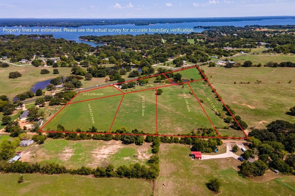 Picture 7
