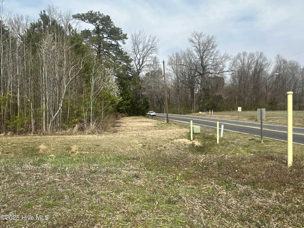 Picture 19