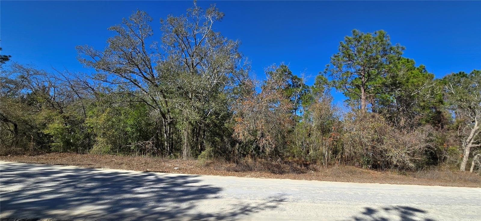 Residential Land in Weeki Wachee