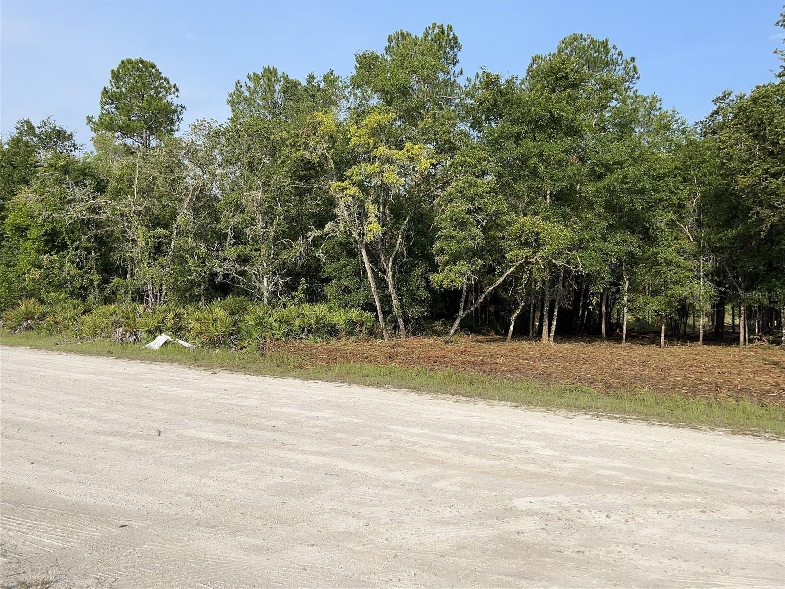 Waterfront Lot with Lake Access