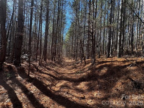 170 Acres of Pristine Land