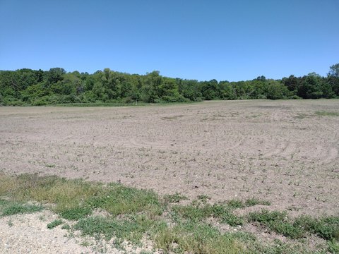 Land Near Lake Michigan Access