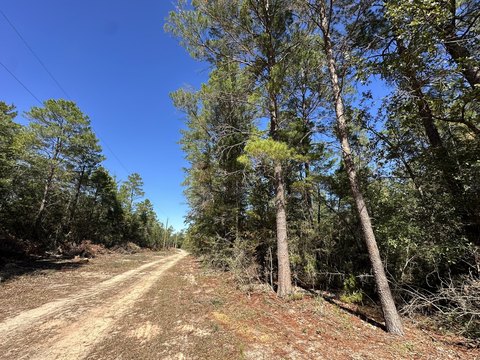 Crestview, FL Land Opportunity