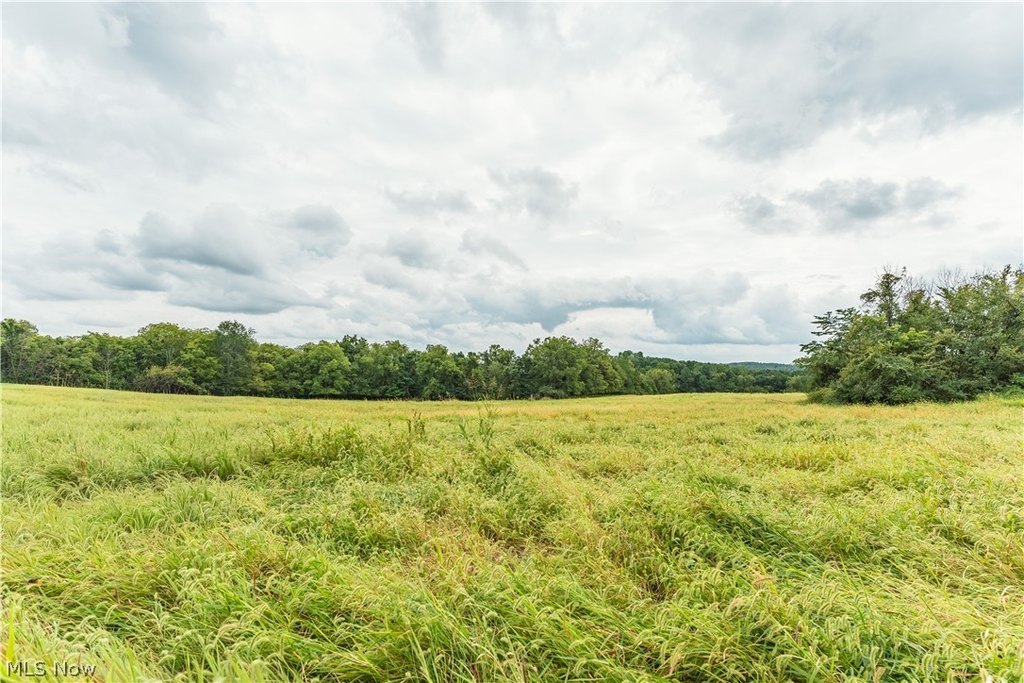 Picture 18