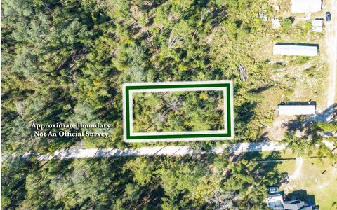 Vacant Land, Live Oak, FL