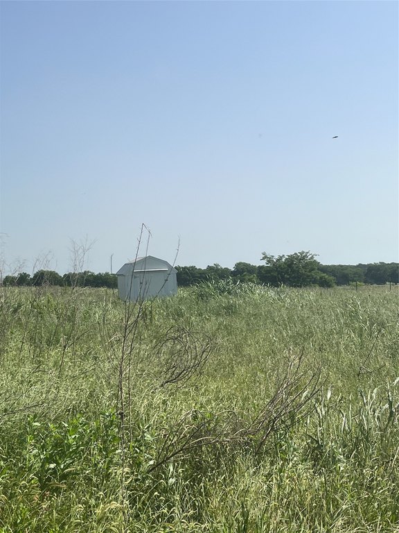 Picture 12