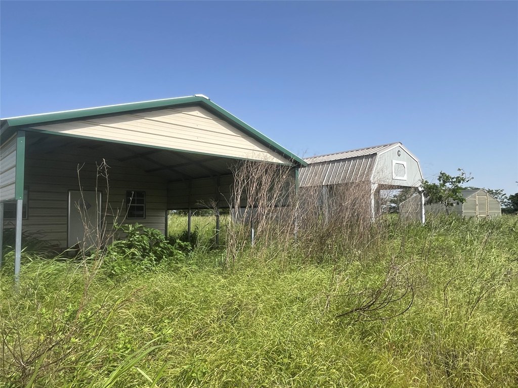 Picture 6