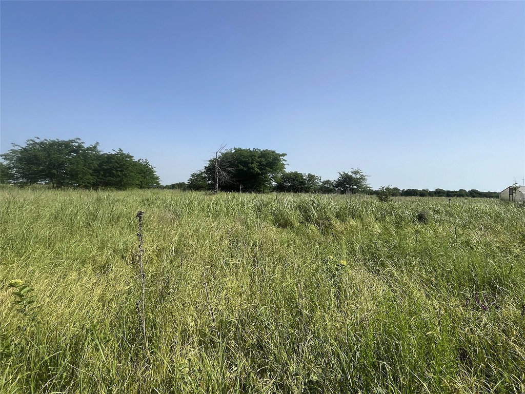 Picture 10