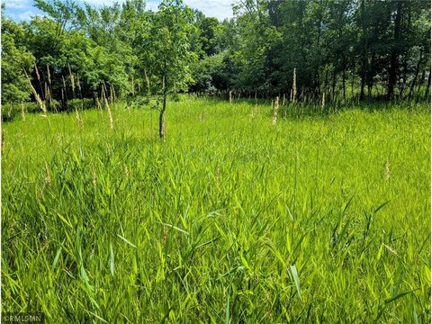 Long Prairie Buildable Lot