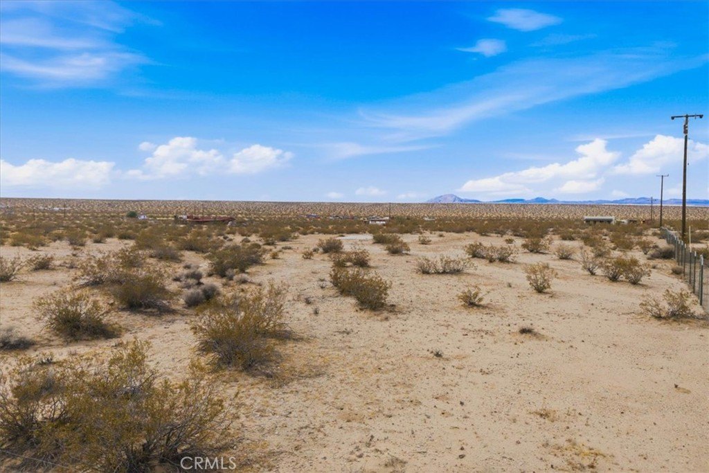 Picture 20