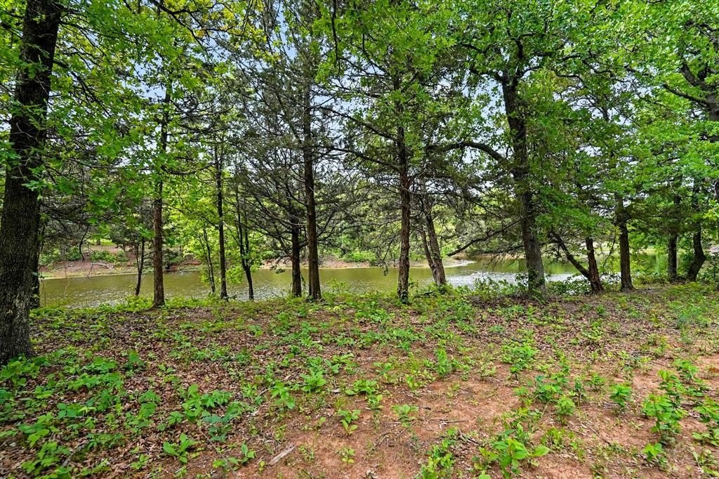Picture 41